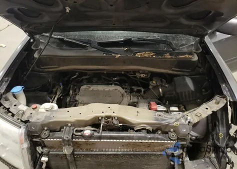 2015 Honda Pilot Exl z USA, uszkodzony, nr VIN 5FNYF4H66FB014576